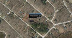 8248 Pine Tree Trl, Canadian Lakes, MI