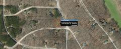 12246 Lone Wolf Trl, Canadian Lakes, MI