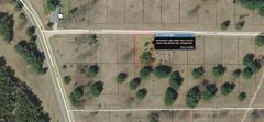 11601 Oak Ridge Dr, Canadian Lakes, MI