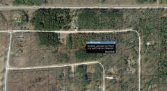 9126 White Pine Dr, Canadian Lakes, MI