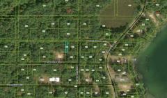 None vacant forested