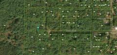None Vacant Forested, Merrill Township, MI