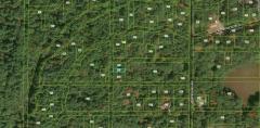 None Vacant Forested, Merrill Township, MI