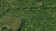 None Vacant, Merrill Township, MI