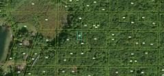None Vacant, Merrill Township, MI