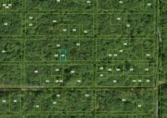 None Vacant, Merrill Township, MI