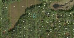None Vacant, Merrill Township, MI
