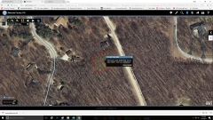 9989 Sweet Tree Ln, Canadian Lakes, MI