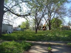 Hopkins, Inkster, MI