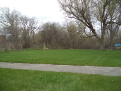 Riverview, Vacant, Inkster, MI