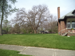 Walnut, Vacant, Inkster, MI