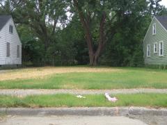 28723 Glenwood, Vacant, Inkster, MI