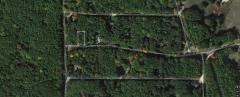 12150 Belle Isle Dr, Canadian Lakes, MI