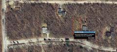 12090 Belle Isle Dr, Canadian Lakes, MI
