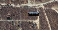 11982 St Johns Dr, Canadian Lakes, MI