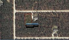 10155 Evergreen Ln, Canadian Lakes, MI