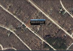 8288 Pine Tree Trl, Canadian Lakes, MI