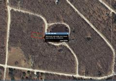 8169 Aspen Dr, Canadian Lakes, MI