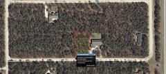 10104 Hawthorn Ln, Canadian Lakes, MI