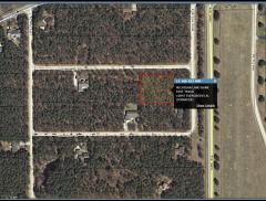 10047 Evergreen Ln, Canadian Lakes, MI