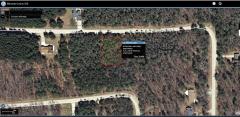 9101 White Pine Dr, Canadian Lakes, MI